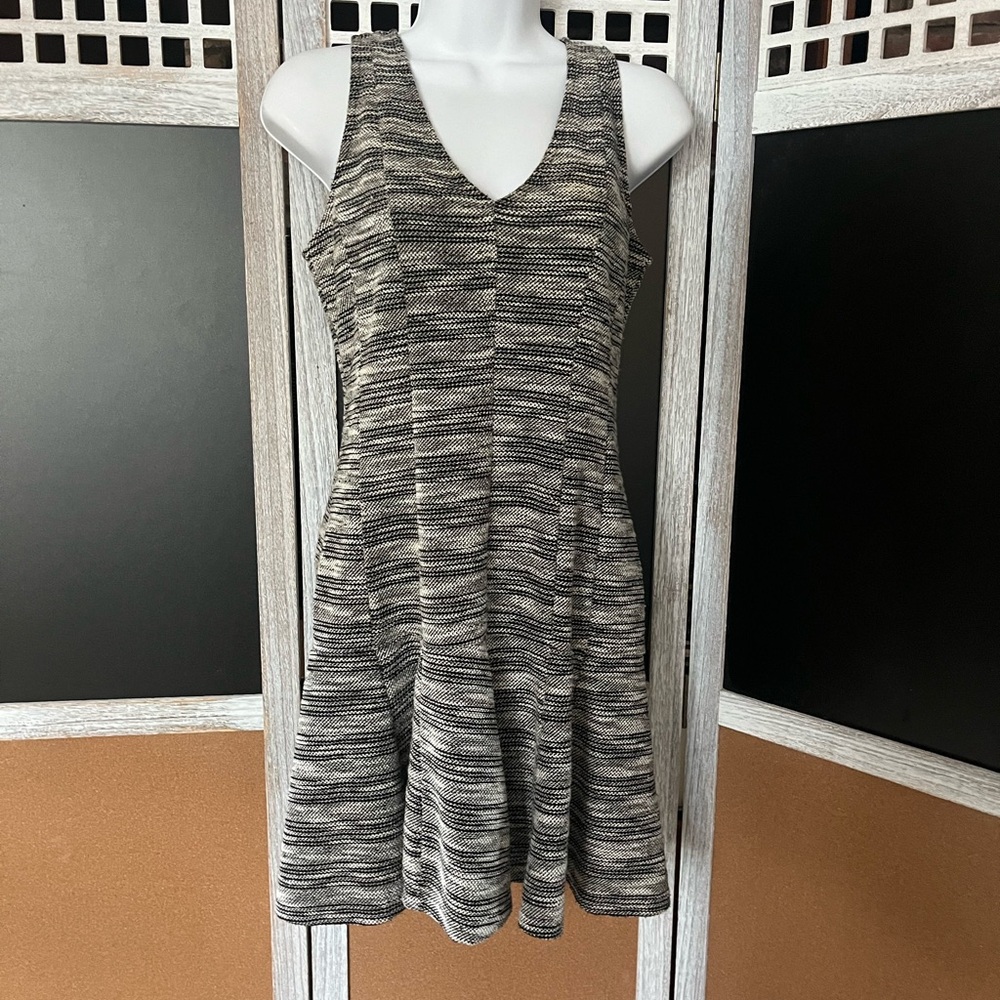 Banana Republic Gray and Black Fit and Flare Mini Dress